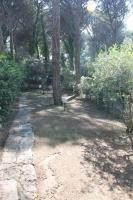 Filippi Pineta- villetta terra/tetto a soli 200m. dal mare - B&B Marina di Castagneto Carducci