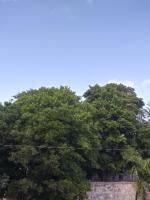 Los Balcones Puerto Morelos - B&B