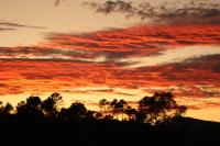Habitación Doble con vistas al jardín - 2 camas