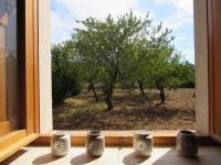 Villa Il Giovane Alloro - B&B Martina Franca