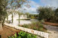 Trullo dei maestri - B&B Locorotondo