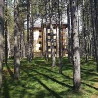 Sani - Ferienwohnung Zlatibor