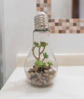 Double Room with Pool View