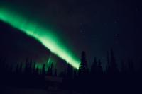 Denali Wild Stay - Moose Cabin, Free Wifi, 2 private bedrooms, sleep 6 - Chambres d'hôtes Healy