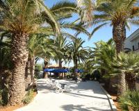 Appartamento con Vista Mare