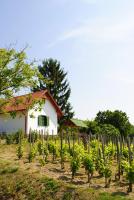 Öreghegyi Apartman - B&B