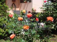 Montelife - B&B