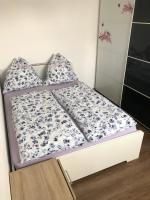 Ferienwohnung Janson - B&B Wiesenbach