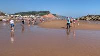 Shippen Cottage - Perfect for Couples or Families - Ferienwohnung Sidmouth