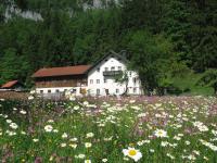 Ferienwohnung Bluntaumühle - Chambres d’hôtes Golling an der Salzach