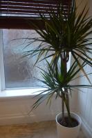 8 bed house 2 miles (7 Mins) from Newcastle centre - B&B Newcastle-upon-Tyne