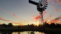 Milford Country Cottages - B&B