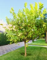 PERFECTO PAREJAS/FAMILIAS. A 500 METROS PLAYA - B&B Alicante