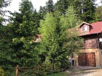Appartement met Uitzicht op het Gebergte