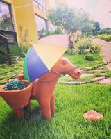 Flat em Serra Negra - PE - Próximo Bodega de Véio, shows e eventos - Bed and Breakfast Bezerros