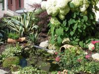 Haus am Sonnenhang - Ferienwohnung Wasungen