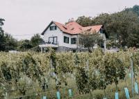 Éliás Borbirtok - B&B Badacsonytomaj