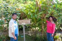 Le Ruisseau - B&B Saint-Paul