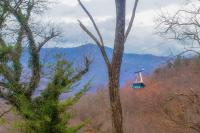 Four Bears Den, Hot Tub, 1089 of FREE Attraction tickets for each paid day, Dollywood and More - B&B