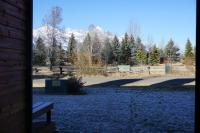 2-3 bedroom /2 bath - B&B