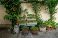 Secret garden in the heart of Isola - Chambres d'hôtes Milan