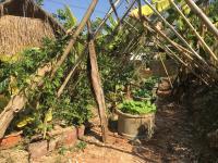 Thong Family Homestay Chiangdao - Chambres d’hôtes Chiang Dao