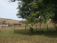 Hibiszkusz Haz - Ferienwohnung Bekölce