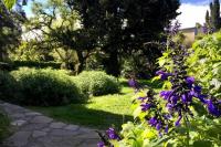 Habitación en casa con gran jardín - B&B San Isidro