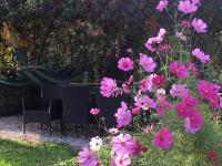 Holiday home Sandra - B&B Curzola