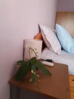 B&B Ruse - Malavi Square top center apartment! Comfort&clean! - Bed and Breakfast Ruse