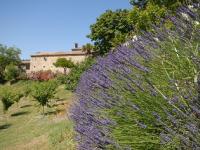 Domaine de Cousignac - B&B
