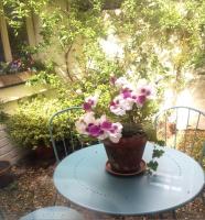 Juliet Cottage, late Georgian treasure, charming, cosy and historic, only a short walk to Alnwick Castle - Chambres d'hôtes Alnwick