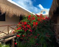 B&B Tulum - Lo Nuestro Petit Hotel Tulum - Bed and Breakfast Tulum