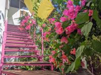 Michèle's Garden - B&B Anjuna