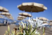 B&B Albinia - Isola Rossa · Villetta Isola Rossa con spiaggia&piscina - Bed and Breakfast Albinia