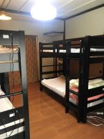 Bunk Bed in Mixed Dormitory Room