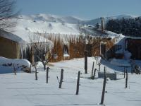 Gîte Equisud - Demi-pension inclus - B&B