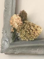 Appartamento con Balcone