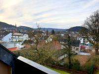 Wohlfühl-Apartment Bad Kissingen IV - B&B Bad Kissingen