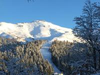 Le Lioran Studio les Myrtilles à 200m des pistes - Chambres d’hôtes