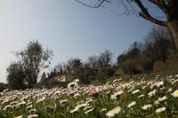 Agriturismo Nonna Bettina - B&B