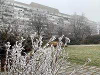 K1 Panoramic apartment - B&B Szekszárd