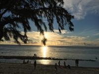 Soleil Appart à 3 min de la plage de l'Hermitage - B&B Saint-Gilles les Bains