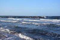 Vittebrook - B&B Barsbek