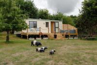 Violet Mays Retreat - B&B