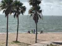 Spectacular Beach View! - B&B Corpus Christi