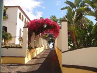 Private Pool Apt. with Great View - B&B Funchal