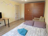 B&B Lviv - Apartment on Masaryk st. - Bed and Breakfast Lviv