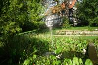 B&B Speckswinkel - Wolfsmühle - Bed and Breakfast Speckswinkel