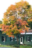 Restored Historic Home Half Mile to Ski Resort! - Ferienwohnung Otis